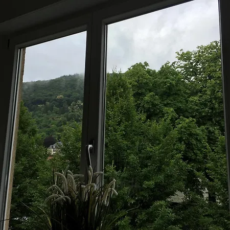 Hotel Zur Alten Brücke Heidelberg